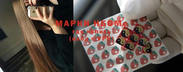 дмт Алзамай