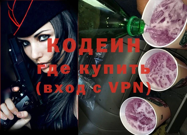 гашик Снежногорск