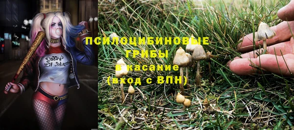 дмт Алзамай