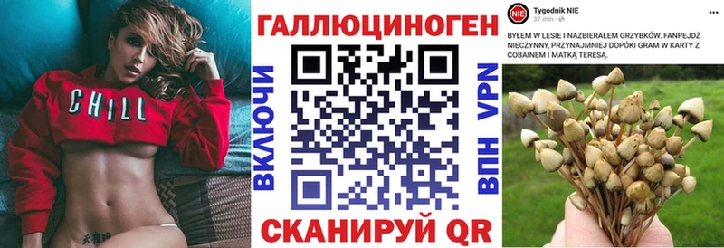 Псилоцибиновые грибы прущие грибы Бирюч